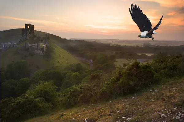 Afrikanska fisk örn i flygning över magiska slottet landskap — Stockfoto