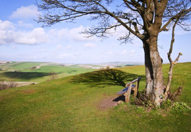 Park bench and tree overlooking beautiful countryside landscape clipart