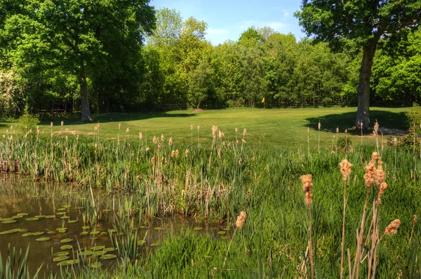 Pole golfowe obrazu nad lily staw przeszkoda w kierunku zielonej — Zdjęcie stockowe
