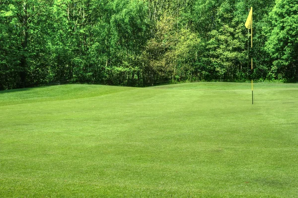 Imagem vibrante do campo de golfe com bandeira e fairway em weat ensolarado — Fotografia de Stock