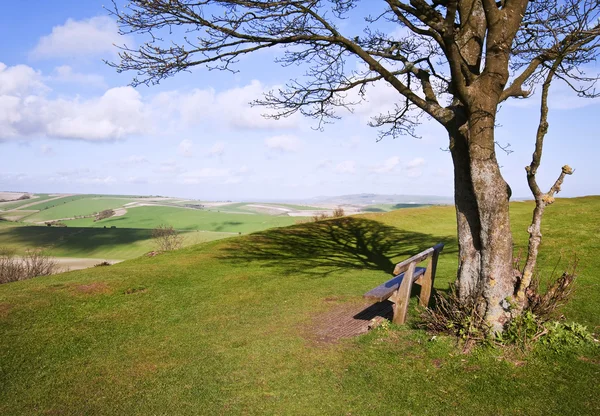 Скамейка и дерево с видом на красивую сельскую местность — стоковое фото