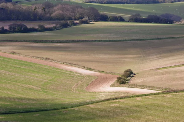 Beautiful geometric countryside landscape — Stock Photo, Image