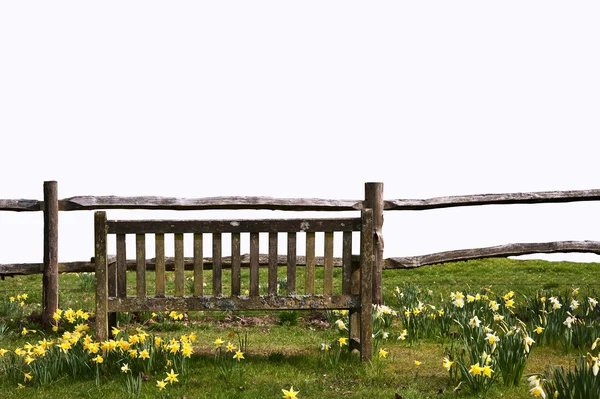 Frühling Parkbank mit Narzissen isoliert auf weiß zu schneiden ein — Stockfoto
