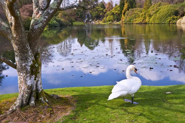 Schön angelegten Ziergärten im Frühling mit See und — Stockfoto