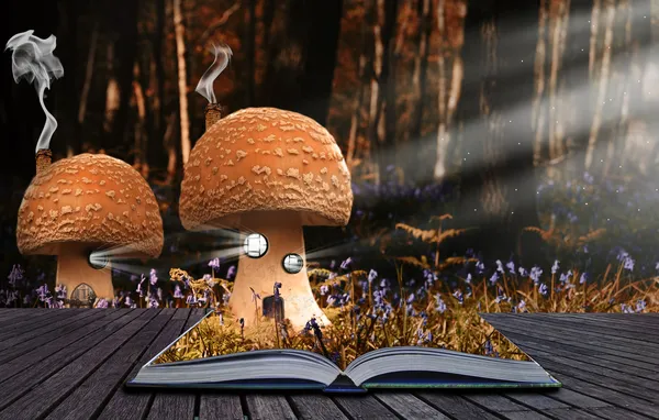 Magische boek met inhoud morsen in landschap achtergrond — Stockfoto