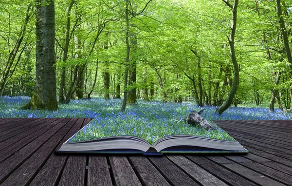 Magical book with contents spilling into landscape background — Stock Photo, Image