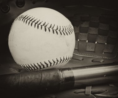 Antique plate style photograph of baseball and glove vintage ret clipart