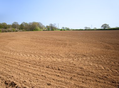 Ploughed cultivated farmland waiting for sowing of crop clipart