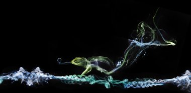 Beautiful Abstract lizard on branch smoke texture background clipart