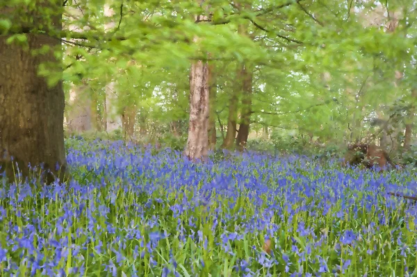 Bright frais coloré printemps bluebell bois avec peinture à l'huile eff — Photo