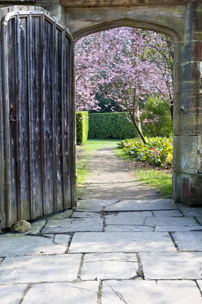 Prachtige verse lente bloesem bekeken door oude houten deur een — Stockfoto