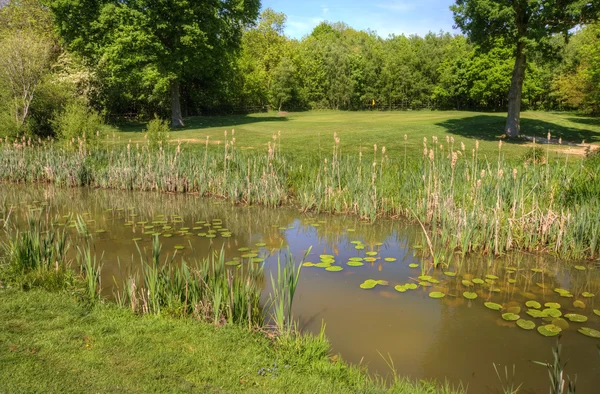 stock image Golf course image looking over lily pond obstacle towards green