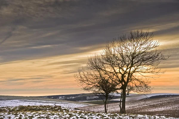 Krásné barevné slunce nad zimní krajina — Stock fotografie