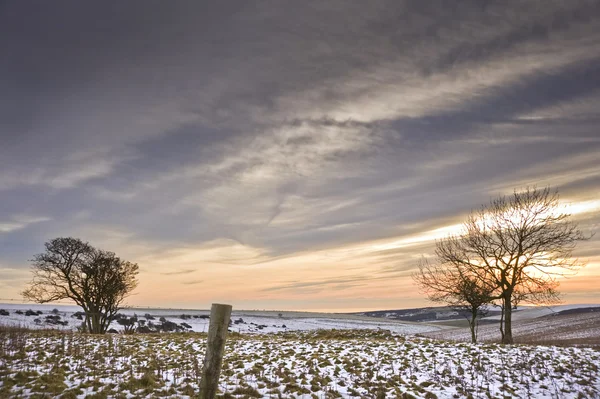 Beautiful colorful sunset over Winter landscape — Stock Photo, Image