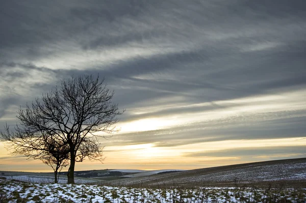 Hermoso atardecer colorido sobre paisaje de invierno —  Fotos de Stock