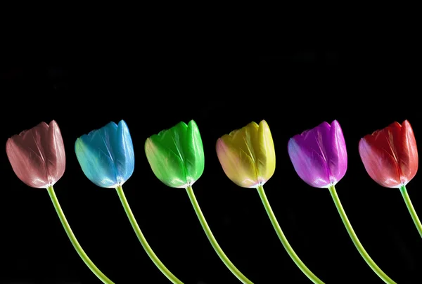 Colorful line of fresh spring tulips on black background with co — Stock Photo, Image