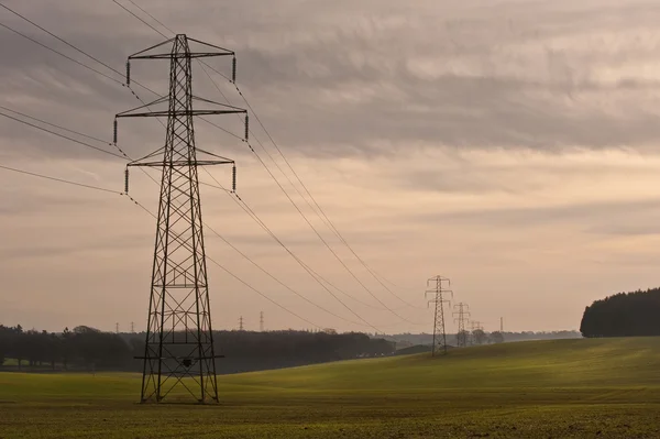 Electricity cable communication towers on sunrise landscape — Stock Photo, Image