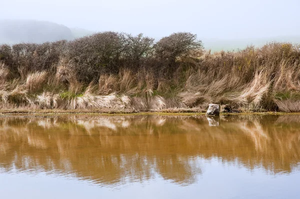 Hermoso paisaje de río torciéndose a través del campo — Foto de Stock