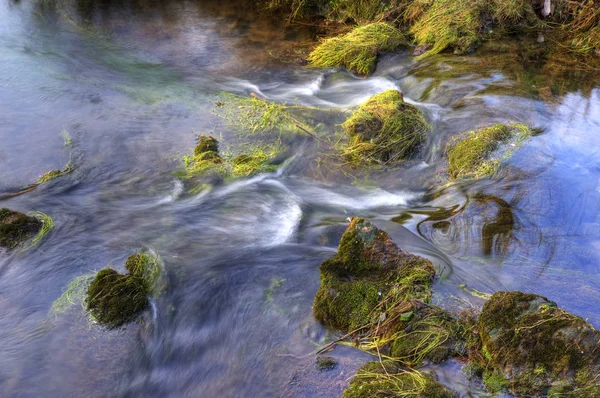 Beautiful close up of babbling brook in mountain forest — Stock Photo, Image