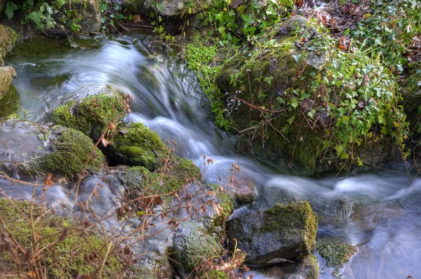 Beau gros plan du ruisseau bavard dans la forêt de montagne — Photo