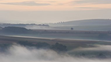 South downs puslu gündoğumu