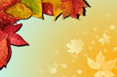 Vibrant Autumn Fall Season leaves on faded gradient background clipart