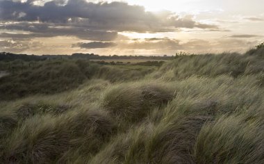 View across grassy sand dunes into sunset clipart