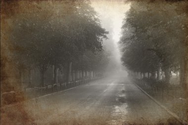 Retro grunge effect photo of Tree lined avenue with foggy and mi clipart