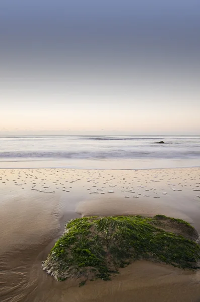 ロックの詳細と共に日の出にビーチの美しい景色 — ストック写真