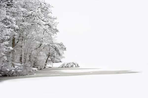 Cena de floresta de inverno bonita com neve virgem profunda — Fotografia de Stock