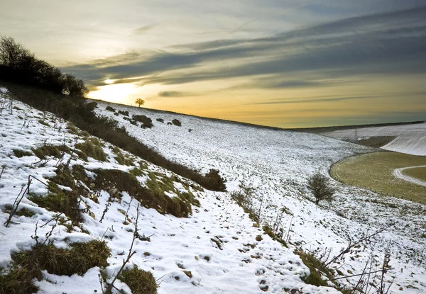 冬の雪風景木々 や輝くサンセット フィールド上 — ストック写真