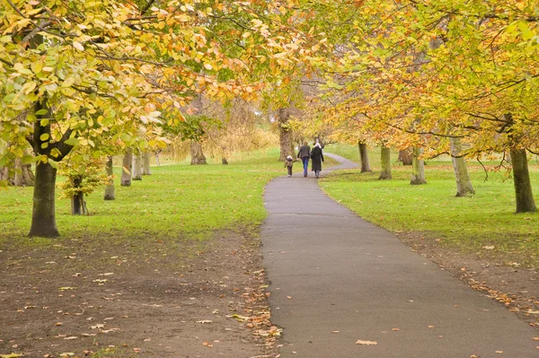 家族の秋を歩いて秋シーズン カラー公園 — ストック写真