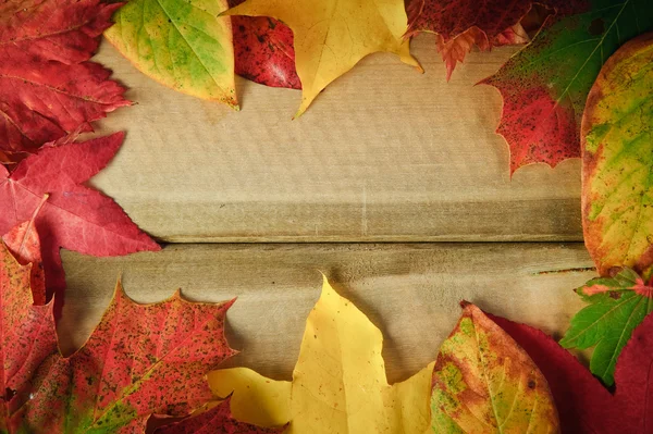 Wibrujący jesień jesieni pozostawia na tle rustykalnym drewna — Zdjęcie stockowe