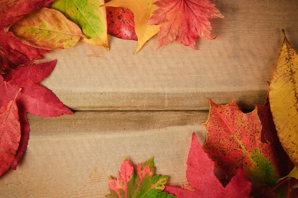 Pulserande hösten höstsäsongen lämnar på rustika trä bakgrund — Stockfoto