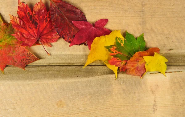 素朴な木製の背景に鮮やかな紅葉シーズンの葉します。 — ストック写真