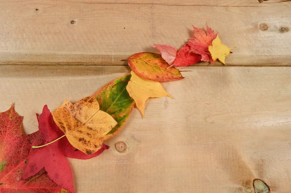 Vibrant automne automne saison feuilles sur fond de bois rustique — Photo