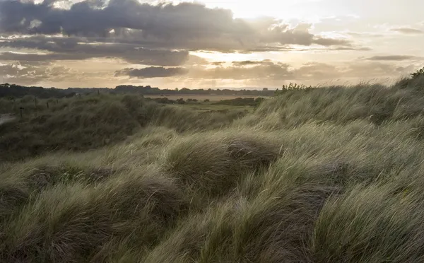 Çimenli kum tepeleri arasında gün batımına doğru görüntüleme — Stok fotoğraf