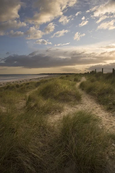 Moody puesta de sol sobre dunas de arena cubierta de hierba en la playa — Foto de Stock