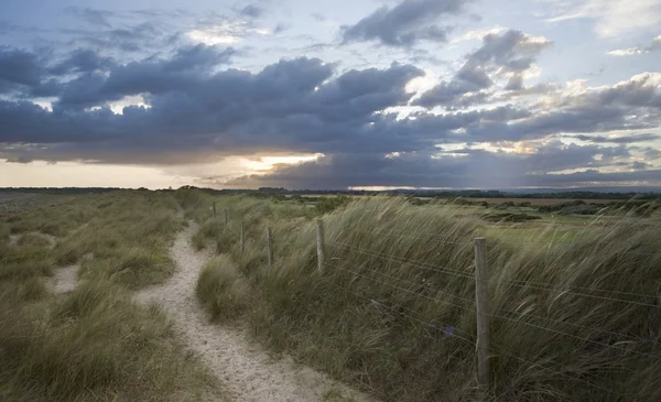 Moody sunset over grassy sand dunes at beach — Stock Photo, Image