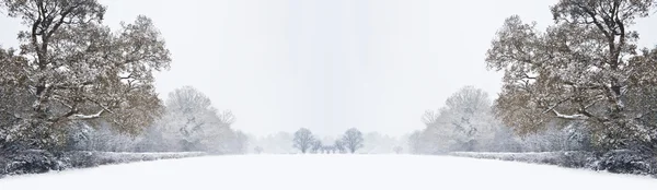 Красивая зимняя сцена снега — стоковое фото