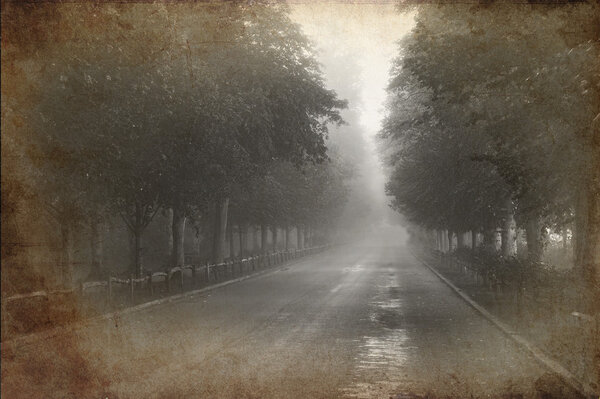 Retro grunge vintage effect photo of Tree lined avenue with misty and foggy distance