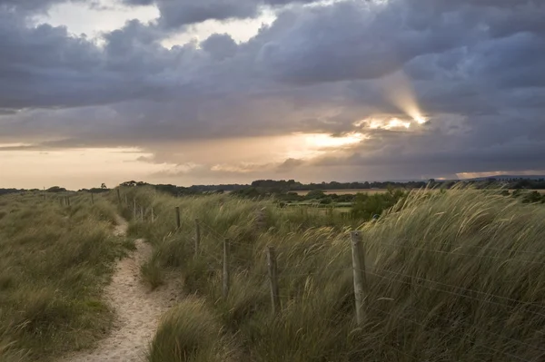 Moody sunset over grassy sand dunes at beach Stock Picture