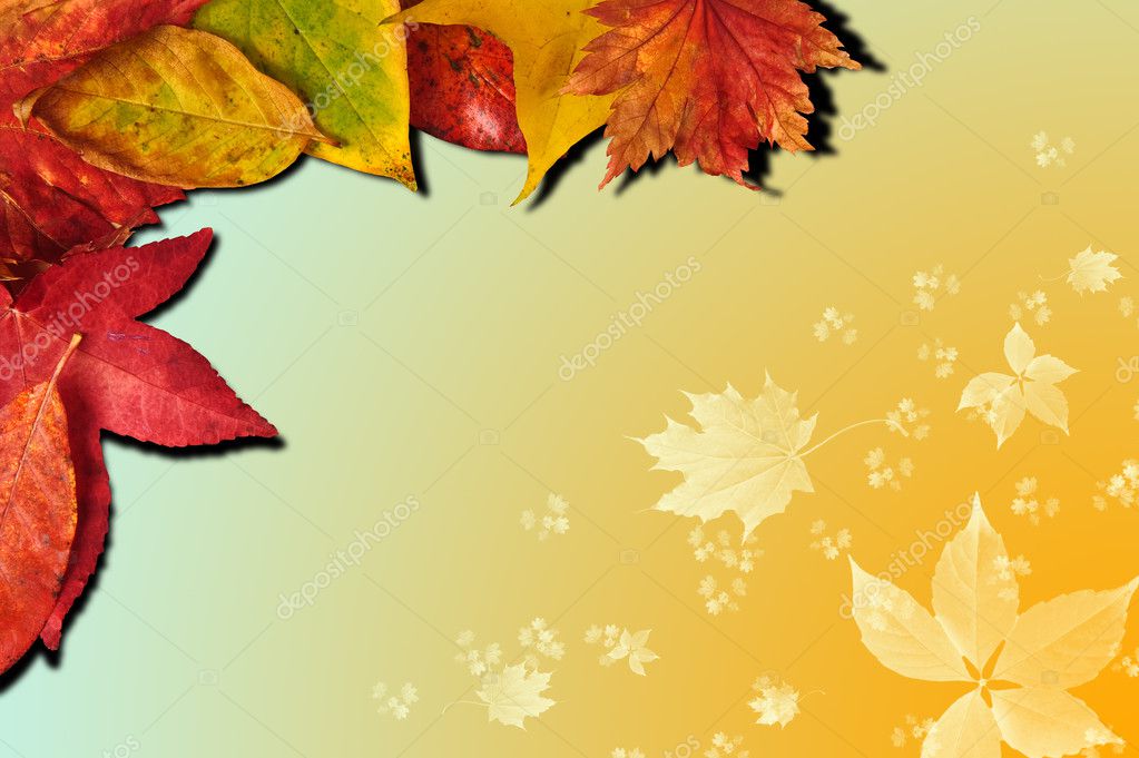 Vibrant Autumn Fall Season leaves on faded gradient background — Stock ...