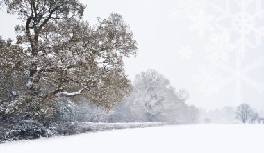 beyaz christmas kış kar manzara