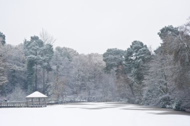 Frozen Winter lake covered in snow with tree lined perimeter clipart