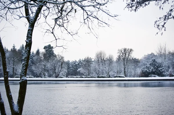 Talvi järvi maisema — kuvapankkivalokuva