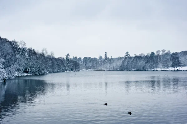 Paesaggio lago invernale — Foto Stock