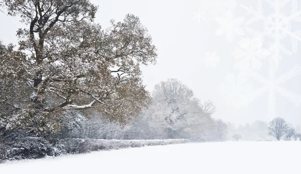 Белый зимний снежный пейзаж — стоковое фото