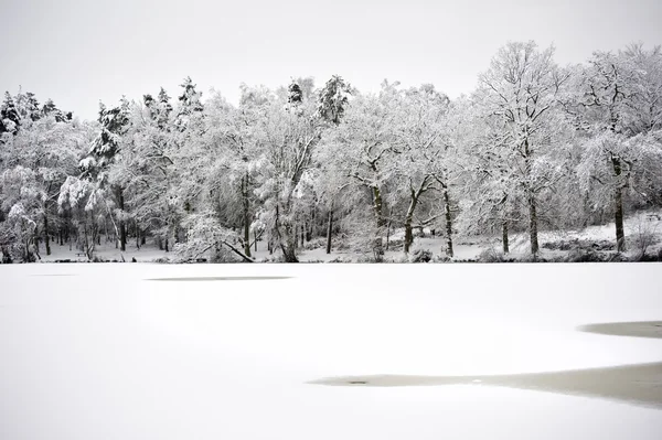 Замерзшее озеро, покрытое снегом зимой — стоковое фото