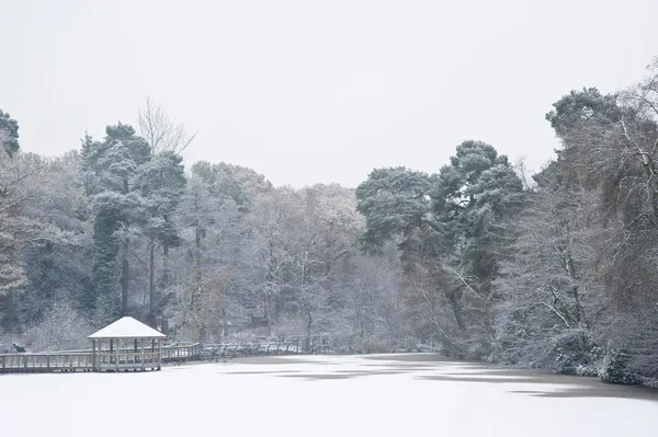 Замерзшее зимнее озеро, покрытое снегом с вытянутыми деревьями периметром — стоковое фото